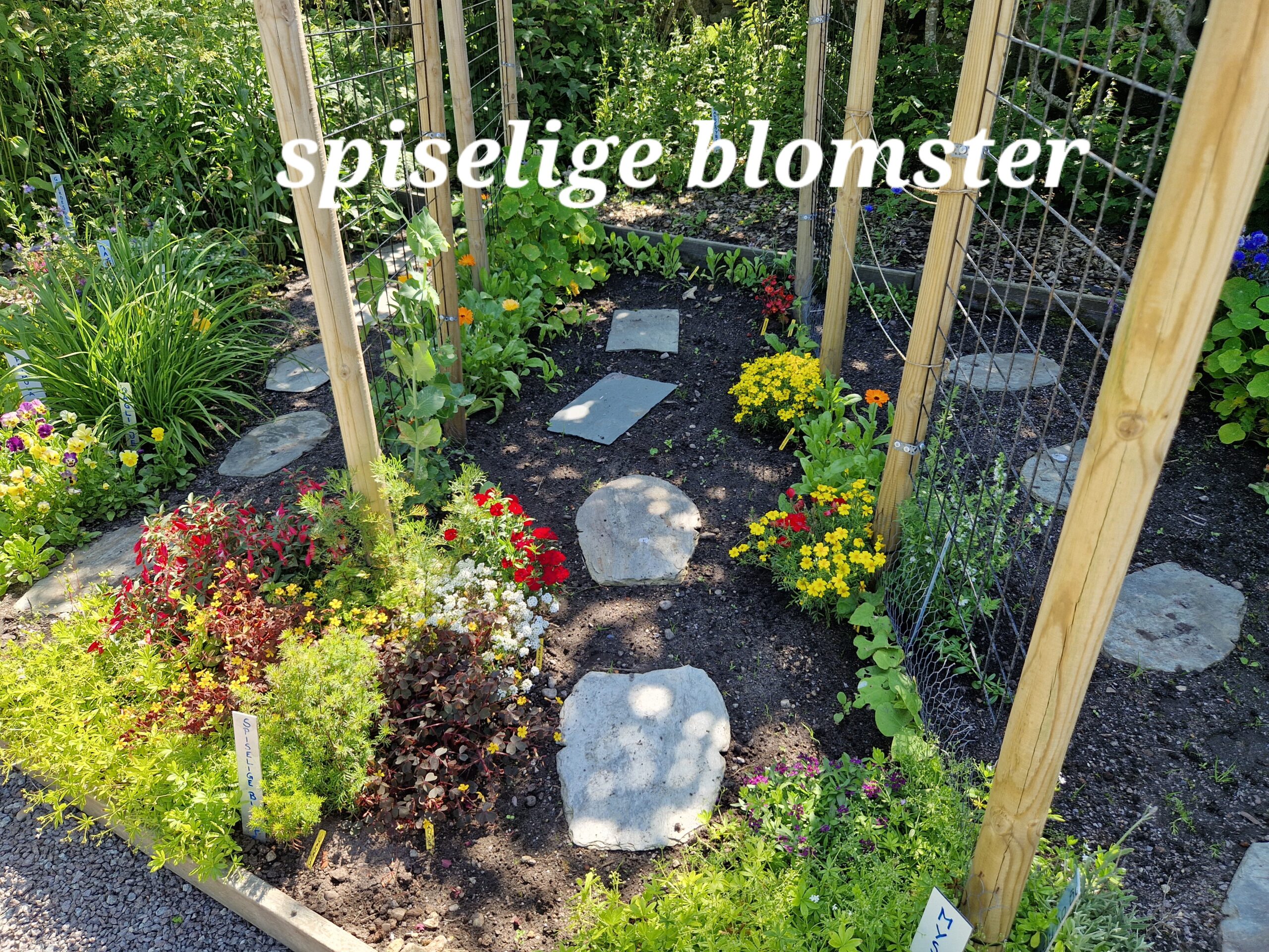 Plantevandring i prestegårdshagen