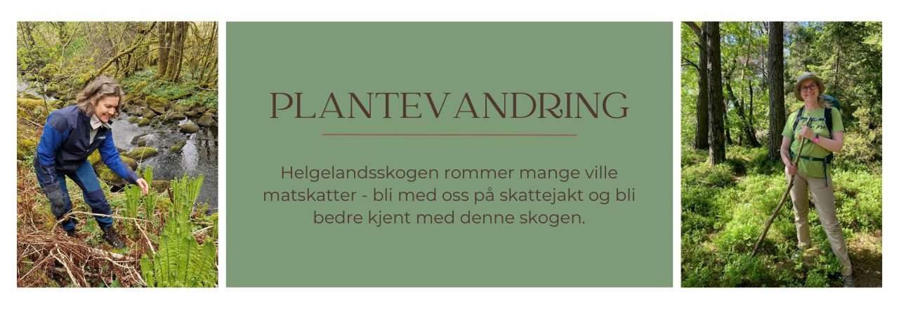Bilde er et banner der du ser Siri i en skog med strutseving til venstre og Kristine i en skog med blåbærlyng til høyre, med tekst som forteller om arrangementet i midten.